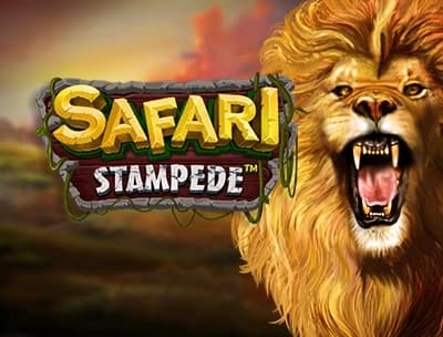 Safari Stampede 