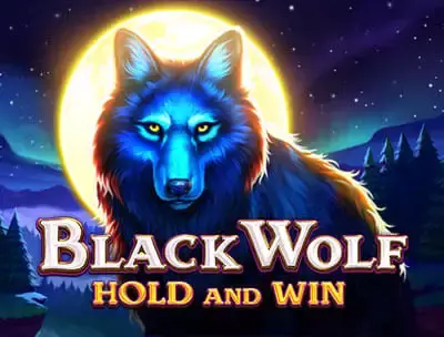 Play Black Wolf: Hold and Win at Bodog Casino