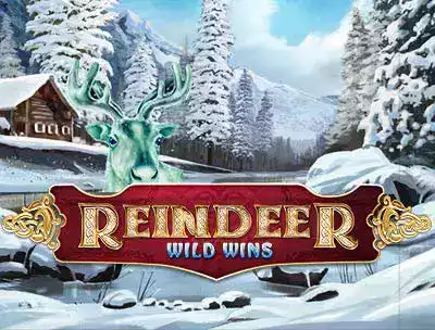 Reindeer Wild Wins XL