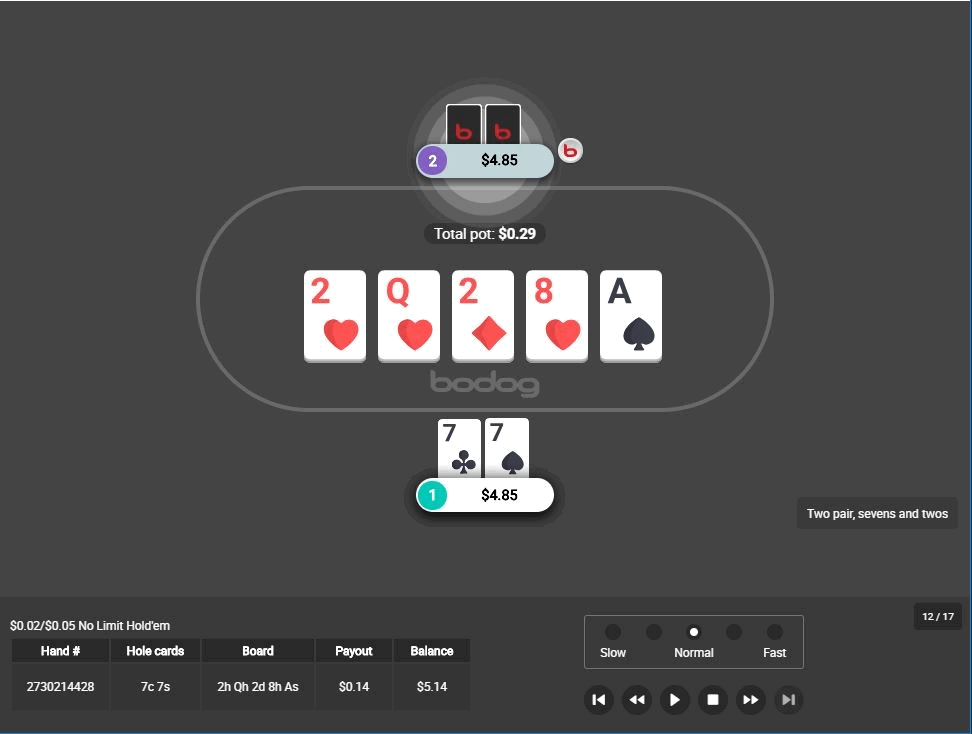 hand replayer