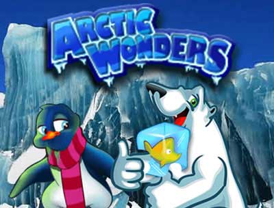 Arctic Wonders 