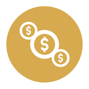 icon initiatives