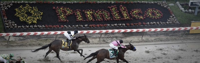 Preakness Stakes Betting 101 - Bodog Racebook