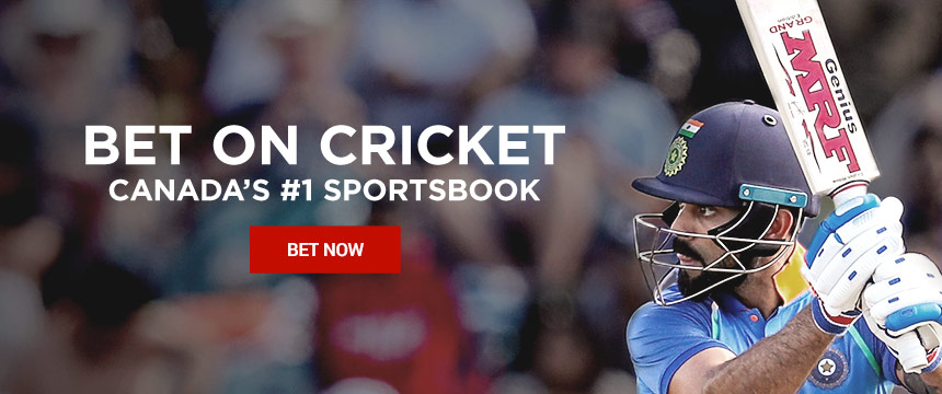 ICC Cricket World Cup Betting, Odds and Insights