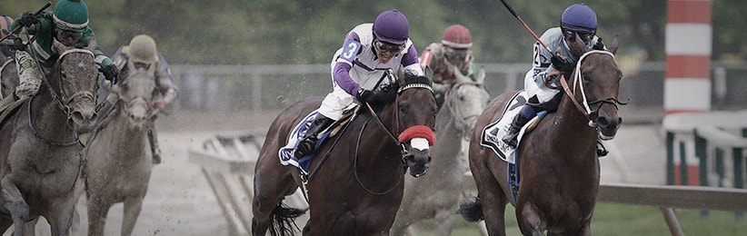 The Preakness Stakes History, Traditions, and Records - Bodog