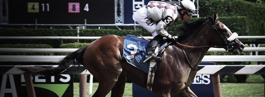 Bet on the fastest two minutes in sports!
