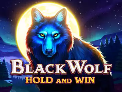 Black Wolf Hold and Win