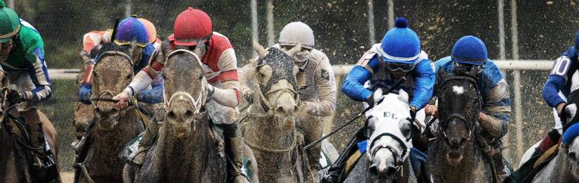 Bet on Horse Racing at Bodog | Kentucky Derby Odds