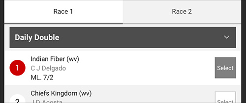 Image - Horses - Daily Double - Race 1