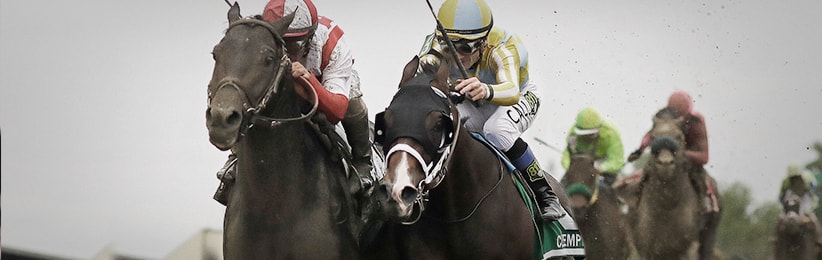 Horse Betting: 142nd Preakness Recap - Bodog Racebook