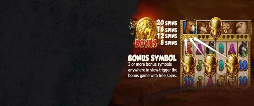 Paytables on Online Slots