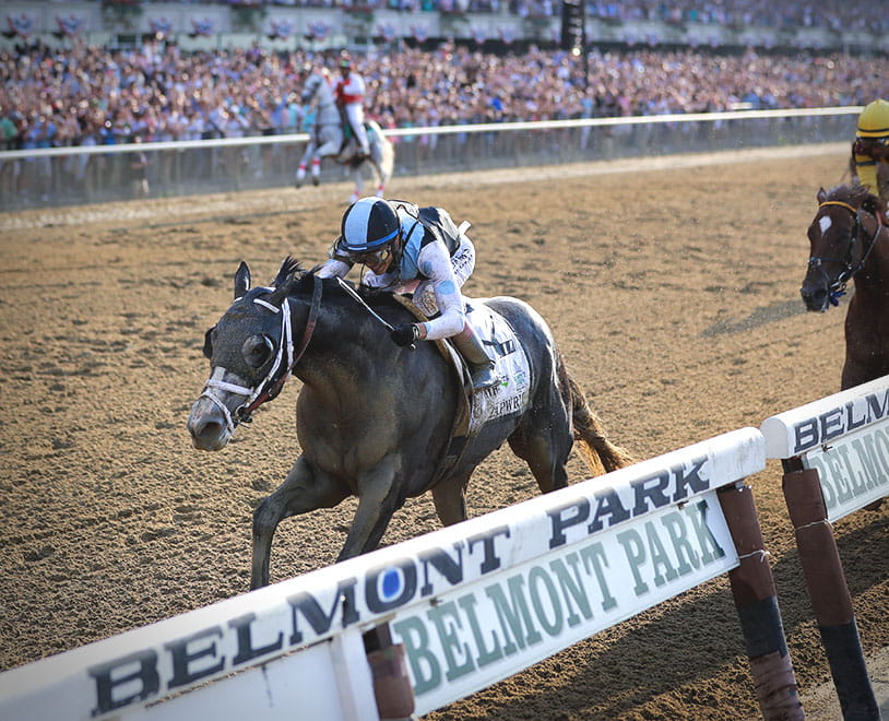Exacta Betting on the Belmont Stakes