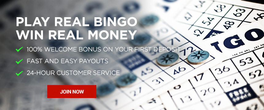 Play Bingo for real money online | Bodog