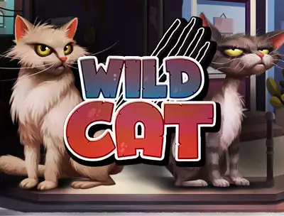 Wild Cat