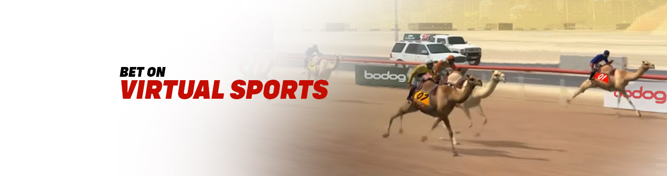 Bet on Virtual Sports